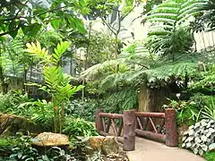 "Humid Plant House" (Casa de las plantas de climas cálidos húmedos).