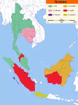 Distribución de las seis especies del género