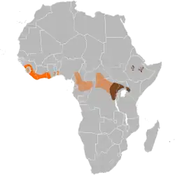 Área de distribución de:      H. m. ivoriensis     H. m. rimator     H. m. meinertzhageni