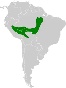 Distribución geográfica del tororoí amazónico.