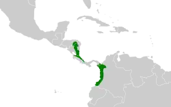 Distribución geográfica del tororoí ventricanela colombiano.