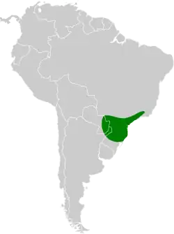 Distribución geográfica del tororoí de Natterer.