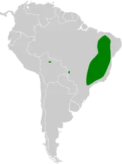 Distribución geográfica del verdillo ojigrís.