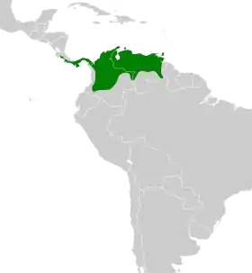 Distribución geográfica del verdillo paticlaro.