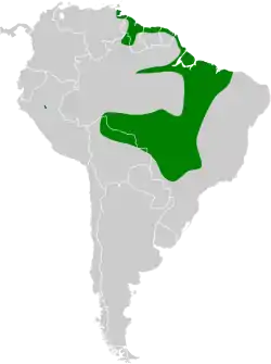 Distribución geográfica del verdillo cabecigrís.