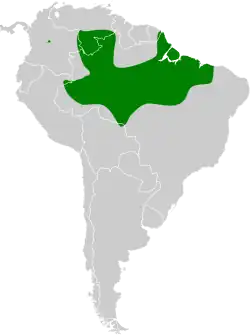 Distribución geográfica del verdillo pechigrís.