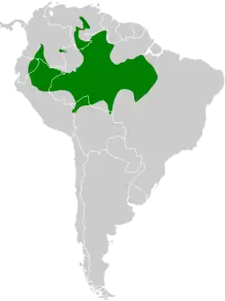 Distribución geográfica del hormiguero lomipunteado.