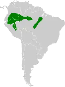 Distribución geográfica del hormiguero cejiamarillo.