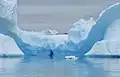 Icebergs en las cercanías.