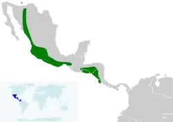 Distribución de I. pustulatus