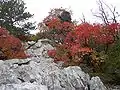 Paisaje del Carso en la provincia de Trieste