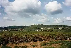 Vista de Saint-Martin-sous-Montaigu