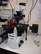 Microscopio invertido de fluorescenccia.