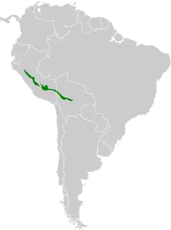 Distribución geográfica de la tangara de Jelski.
