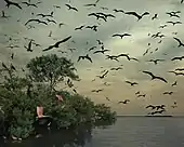 Isla de los Pájaros