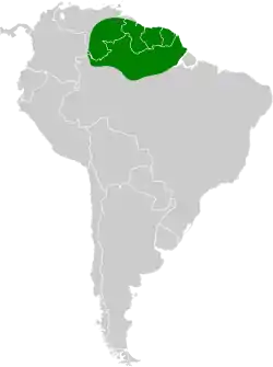 Distribución geográfica del hormiguerito ventrirrufo.
