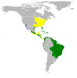 Distribución de Ixobrychus exilisAmarillo: durante tiempo de anidación, verde: todo el año, azul: durante el tiempo no reproductivo