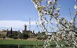 Vista de la localidad en primavera