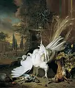 Der weiße Pfau, de Jan Weenix (1692).