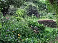 El jardín de los iris