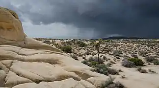 Un frente de tormenta en el parque.