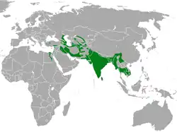 Distribución de F. chaus