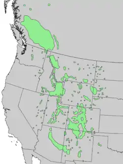 Natural range of Juniperus scopulorum