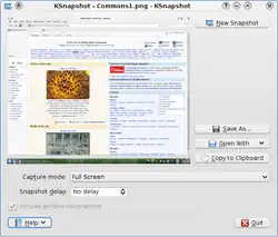 KSnapshot 0.8.1