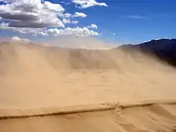 Desierto de DunasDesierto de Mojave