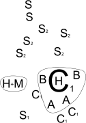 Esquema de la representación parietal del panel 74-75 de la Galería C.