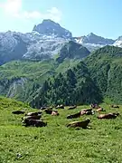 La punta Percée  vista desde el  col des Annes (1721 m)