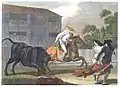 La corrida. (1805) Grabado en cobre coloreado basado en un dibujo de William Marshall Craig.