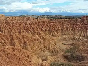 Zona del Cusco en el desierto de la Tatacoa.