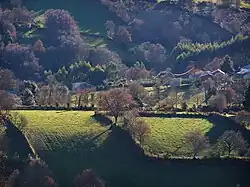 Setos de piedras y árboles en la parroquia de Labrada, en el consejo de Abadín en Lugo (Galicia).