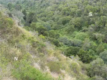 Se puede visualizar el factor de exposición de ladera entre sur y norte observado claramente sus diferencias de vegetación en la quebrada