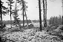 A ground-level photo at Kollaa, with trees in the foreground, a snowy field in-between and dense forests as well as a Soviet tank in the distance.