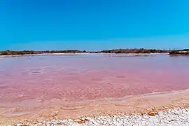 Laguna rosada en Yucatán