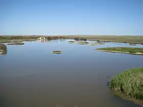 Lagunas y pastizales salinos de Villafáfila