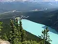 El lago Louise desde lo alto de Big Beehive.