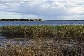 Lago Sérvach - Bielorrusia