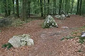 Ejemplo de alineamientos con el cordon des Druides.