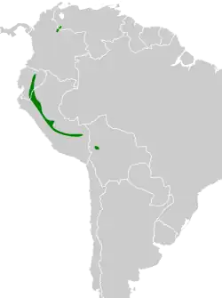 Distribución geográfica de la lanisoma andina.