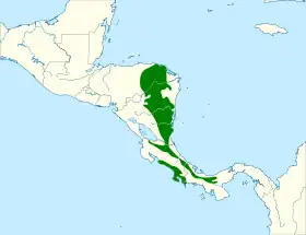 Distribución geográfica de la tangara gorjiblanca.