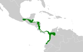 Distribución geográfica de la plañidera moteada.