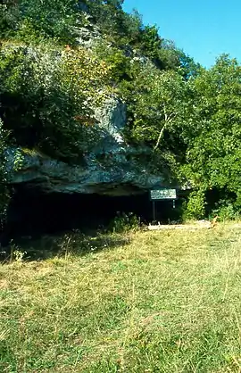 Cueva de Le Moustier, epónimo del Musteriense.