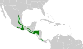 Distribución geográfica del trepatroncos coronipunteado.
