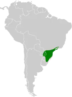 Distribución geográfica del trepatroncos festoneado.