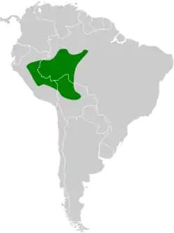 Distribución geográfica del trepatroncos del Inambari.