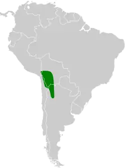 Distribución geográfica del tijeral colinegro serrano.
