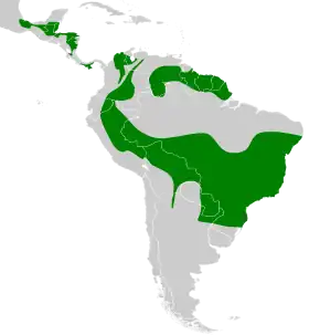 Distribución geográfica del orejero coronipardo.